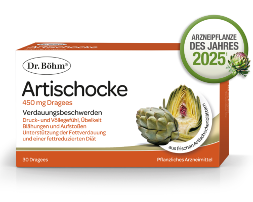 Artischocke – Arzneipflanze des Jahres 2025